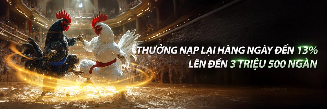 Chương trình VIP độc quyền vua88