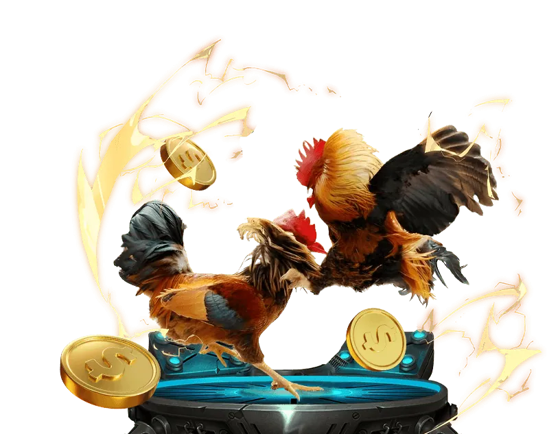Cá cược thể thao tại vua88